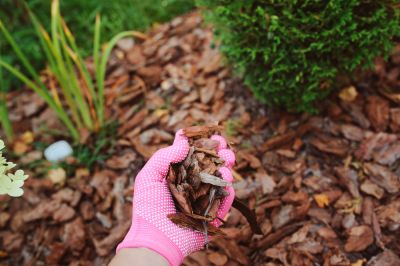 Get Soil Erosion Prevention with Mulching Service!