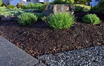 Enhance Soil Health with Mulching Service!
