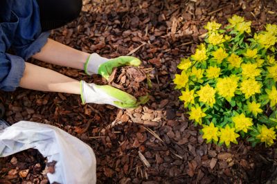 Get Weed Suppression with Mulching Service!