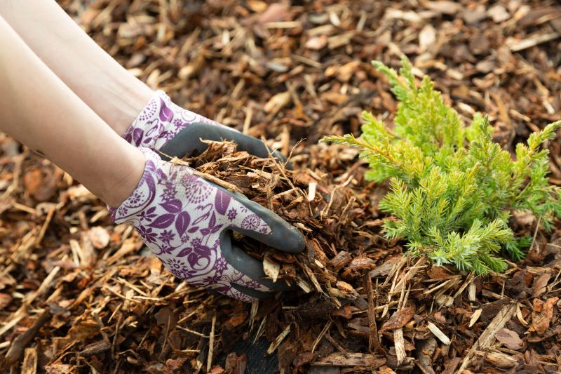 Mulching Service