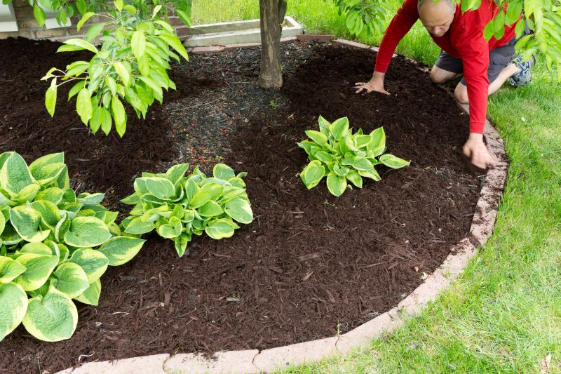 Affordable Mulching Service Cost — Cost of Mulching Service