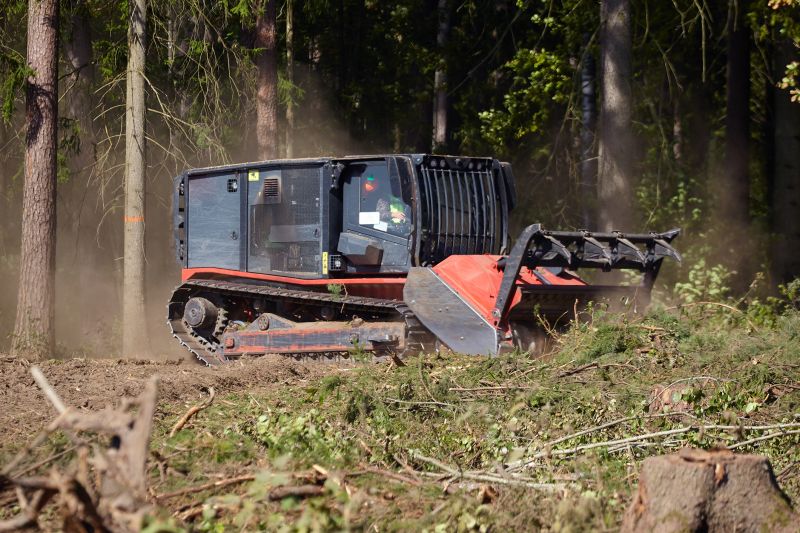 Affordable Mulching Service Cost — Cost of Mulching Service