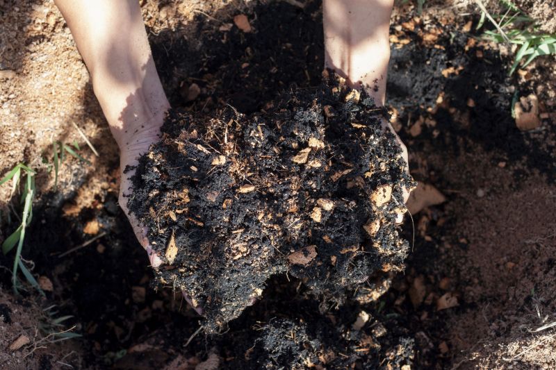 Affordable Mulching Service Cost — Cost of Mulching Service