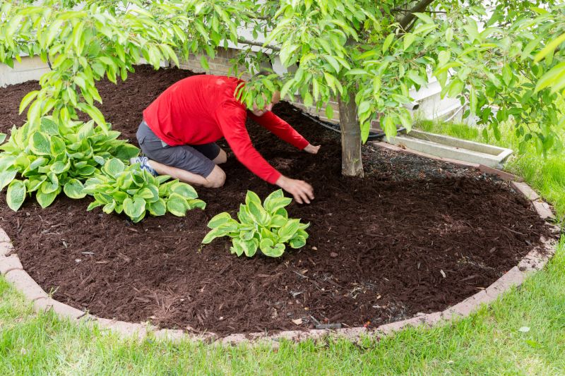 Mulching Service